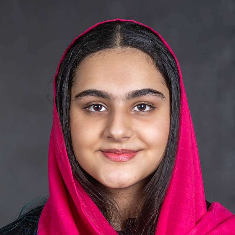 دیبا والی